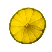 Lime Slice 6