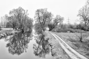 Mindel River 1 (B&W Realistic)