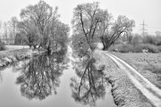 Mindel River 3 (B&W Realistic)