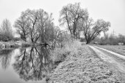 Mindel River 4 (B&W Realistic)