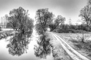 Mindel River 1 (Monochrom)