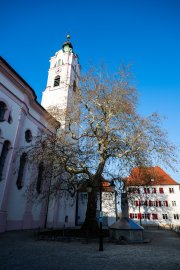 Günzburg 14