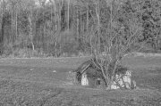 Old Hut 1