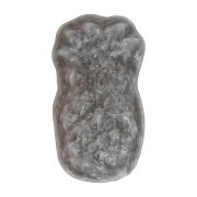 Tropifrutti 1