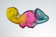 Sweet Creatures 1