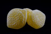 Lemon Candies 2