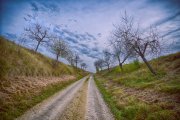 Field Path 1