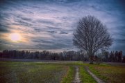 Field Path 2