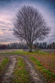 Field Path 3
