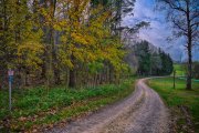 Field Path 4