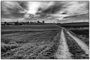 Cloudy Afternoon 1
