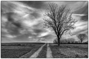 Cloudy Afternoon 3
