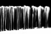 Brush 2