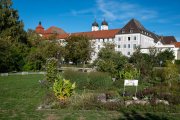 Günzburg 1
