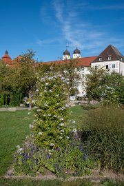 Günzburg 2