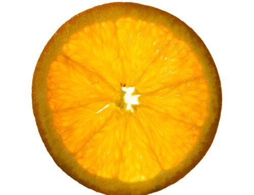 Project 486: Orange Slice