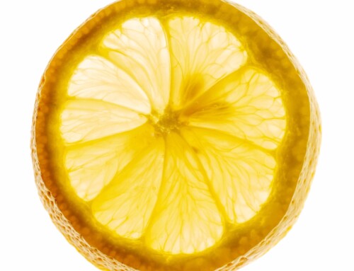 Project 488: Lemon Slice