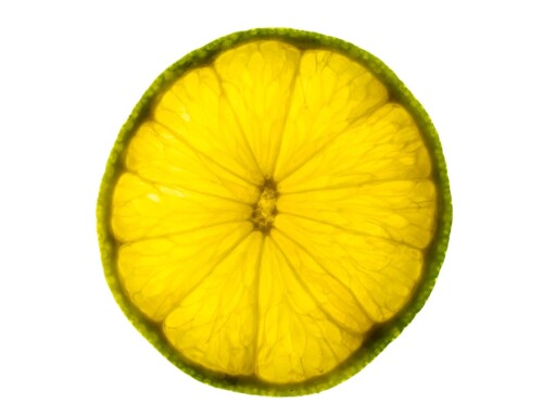 Project 491: Lime Slice