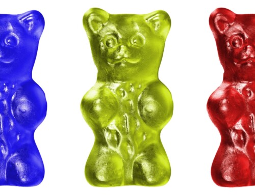 Project 549: Colored Bears