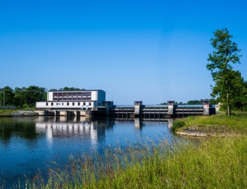 Project 52: Cycling By The Danube