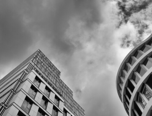 Project 554: Ulm Rooftops