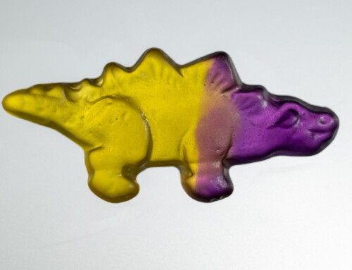 Project 562: Sweet Creatures