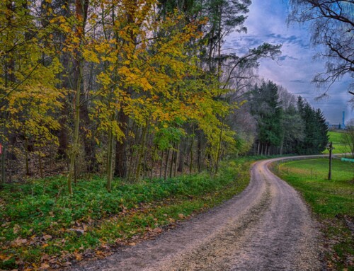 Project 575: Field Paths