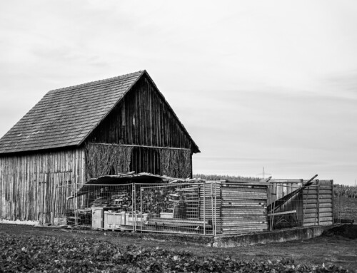 Project 576: Wooden Hut