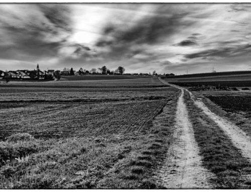 Project 573: A Walk On A Cloudy Afternoon