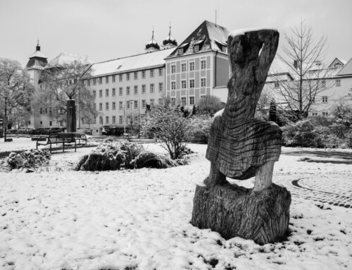 Project 586: Sculptures