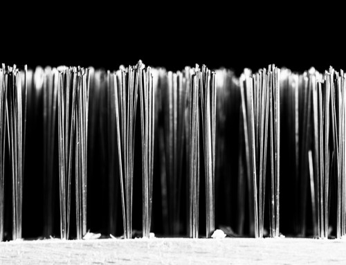 Project 597: Brush