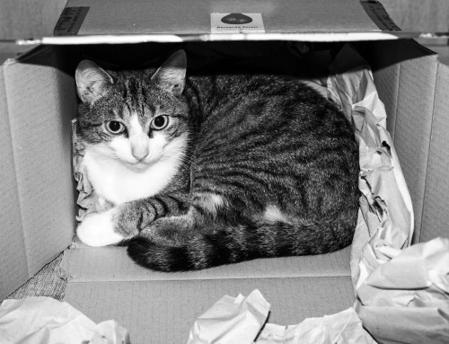 Project 609: Tomcat In A Box